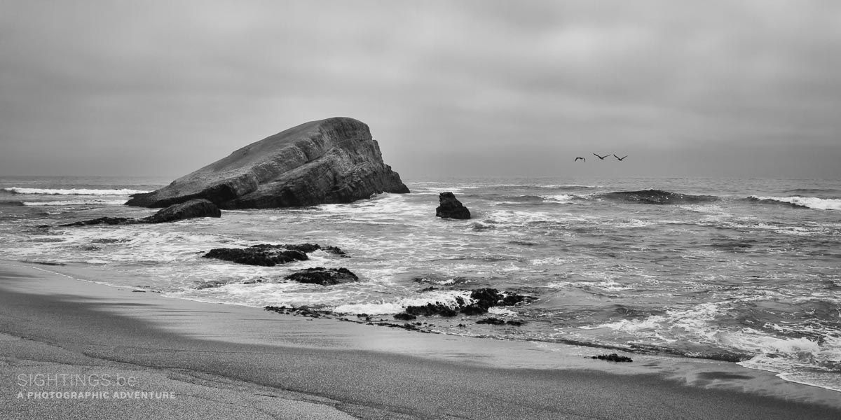 Greyhound Beach