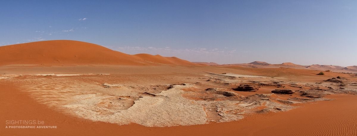Deadvlei panorama