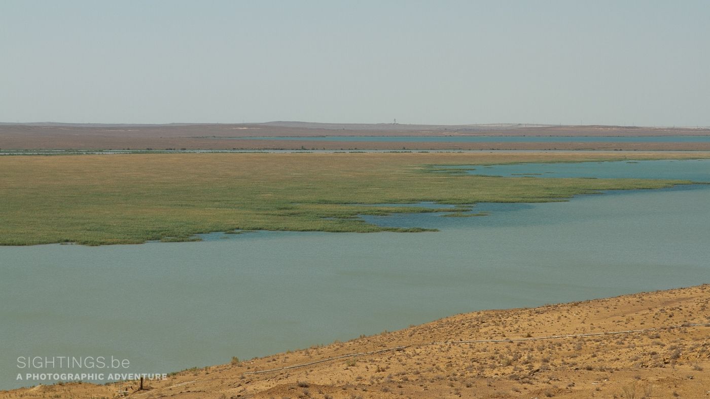 Amu Darya (Oxus) river forming the border between Uzbekistan and Turkmenistan